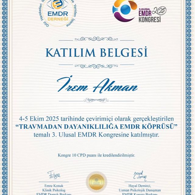 Resmi büyüt: certificate 8