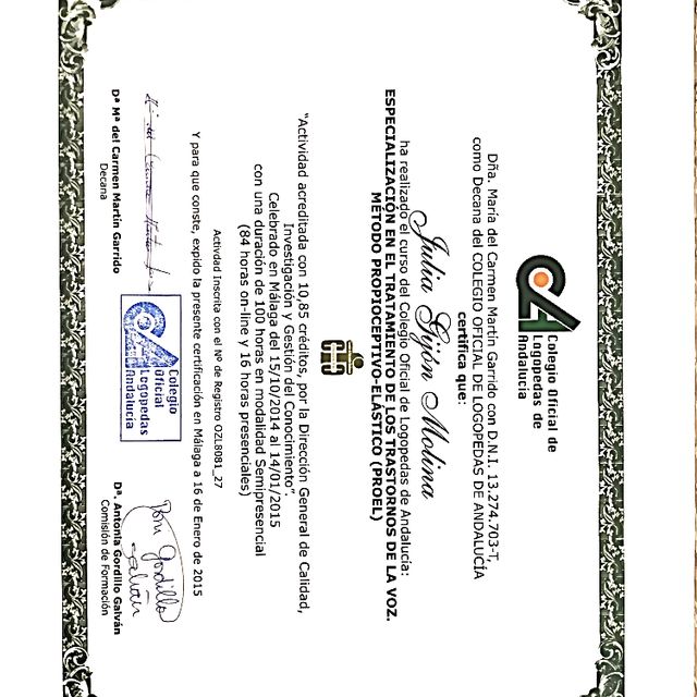 Acercar imagen: certificate 5