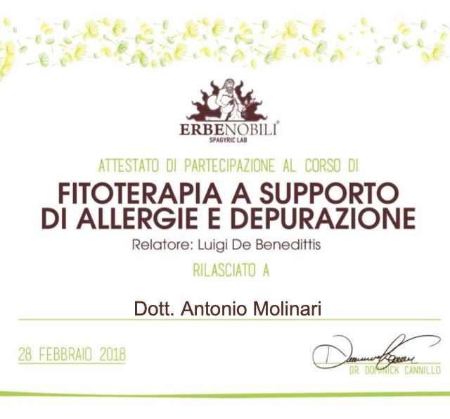 Ingrandire l'immagine: certificate 11