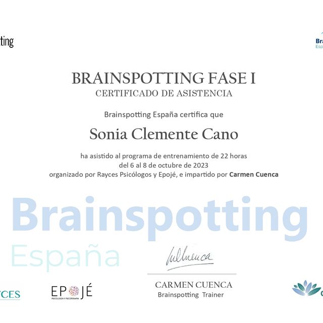 Acercar imagen: certificate 10