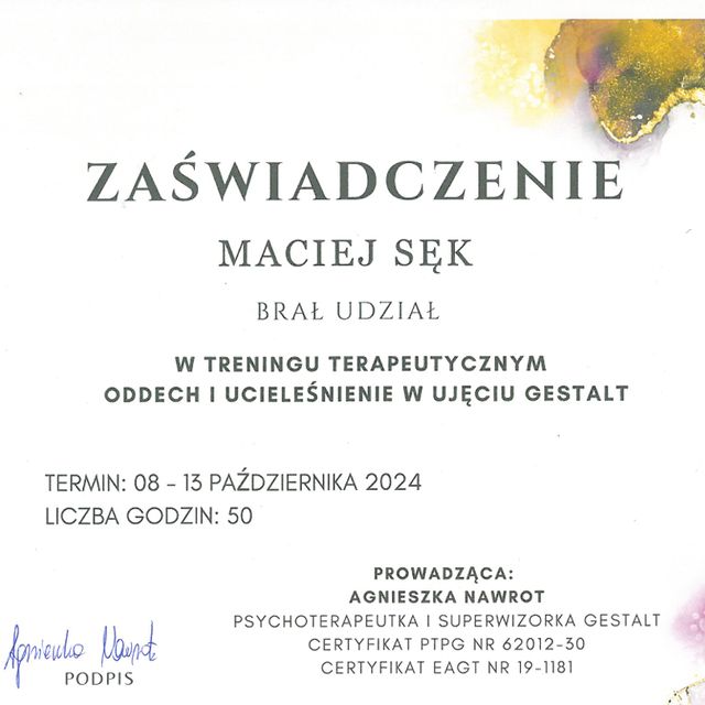 Powiększ obraz: certificate 4