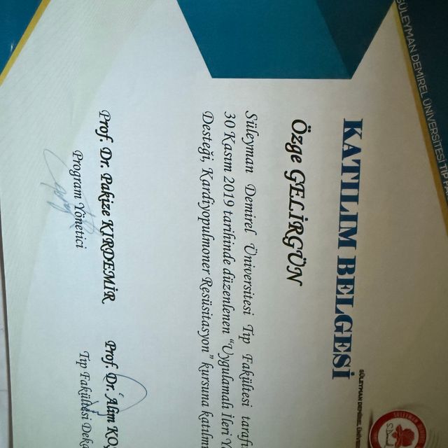 Resmi büyüt: certificate 6