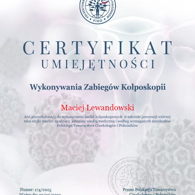 Powiększ obraz: certificate 1