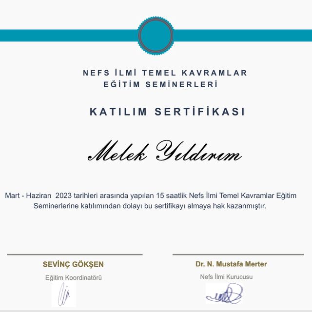 Resmi büyüt: certificate 10