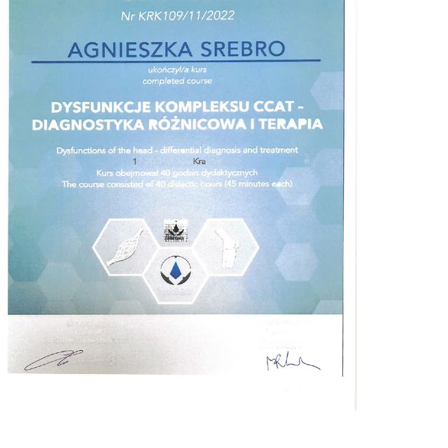 Powiększ obraz: certificate 2
