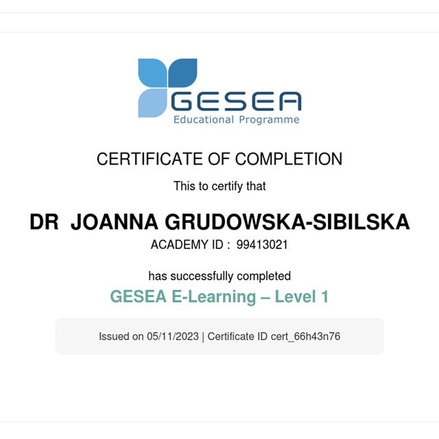 Powiększ obraz: certificate 1