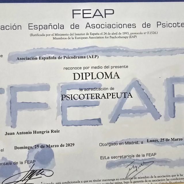 Acercar imagen: certificate 2