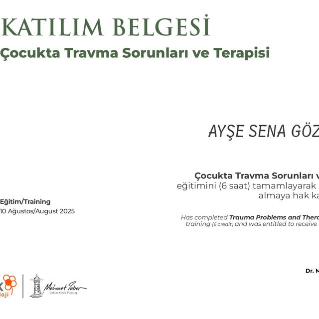 Resmi büyüt: certificate 3