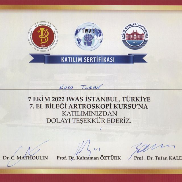 Resmi büyüt: certificate 1