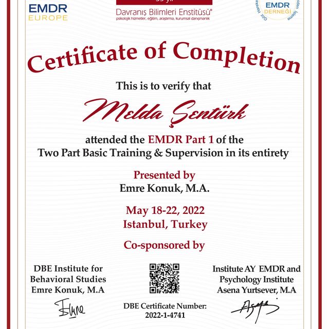 Resmi büyüt: certificate 6