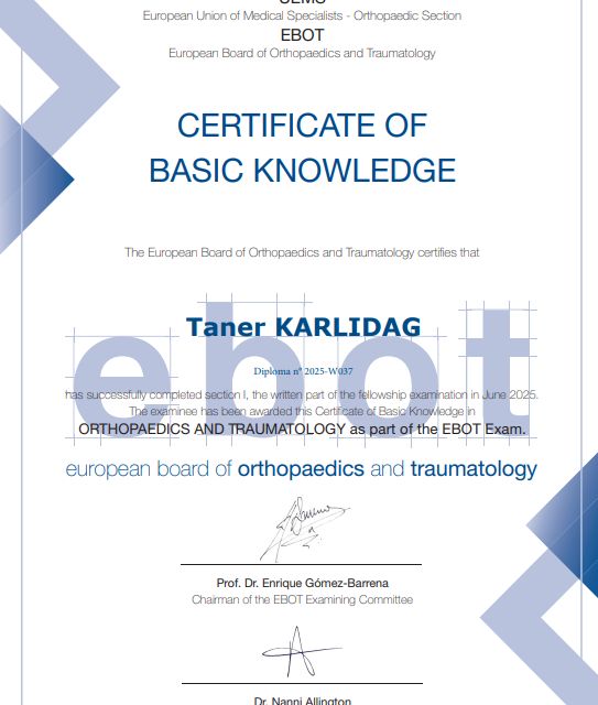 Resmi büyüt: certificate 5