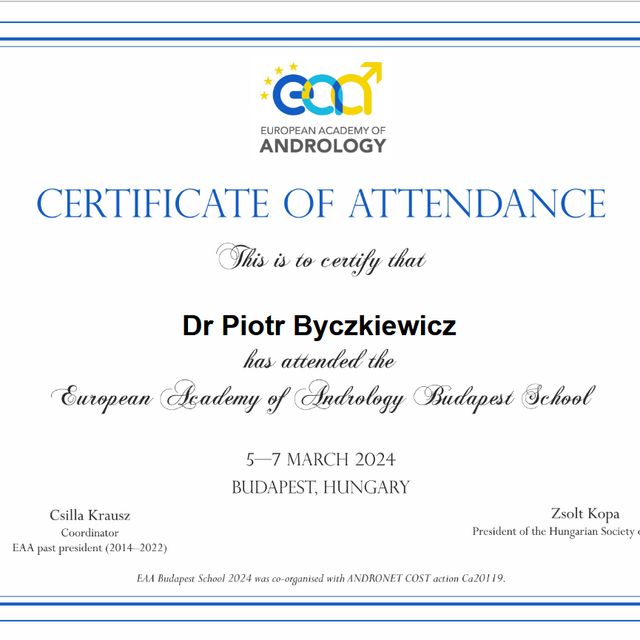 Powiększ obraz: certificate 2