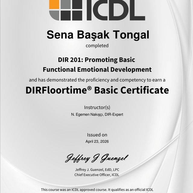 Resmi büyüt: certificate 3