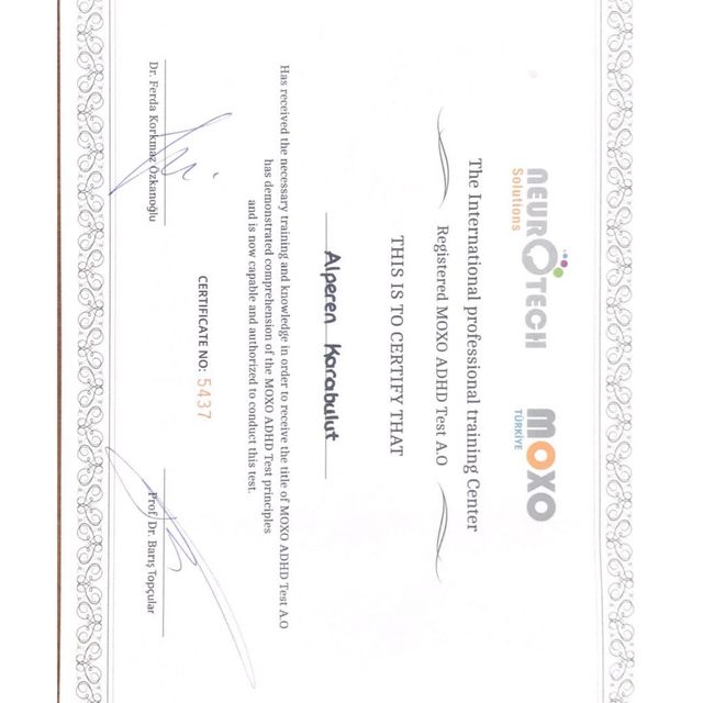 Resmi büyüt: certificate 2