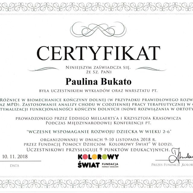 Powiększ obraz: certificate 8