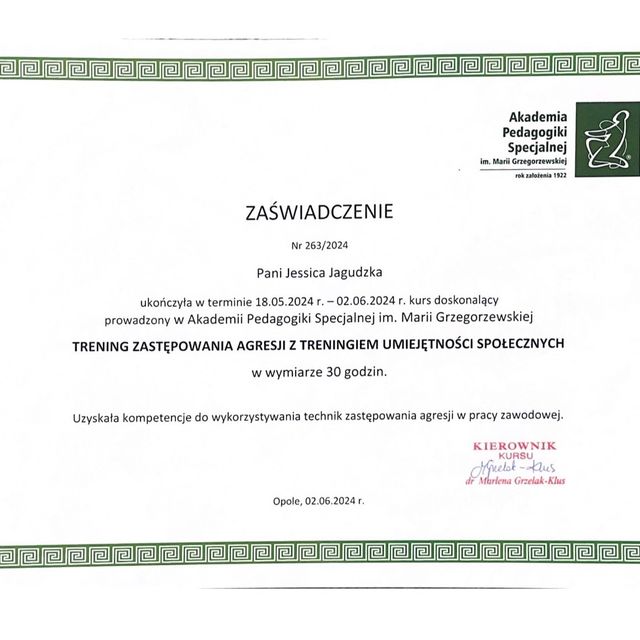 Powiększ obraz: certificate 2