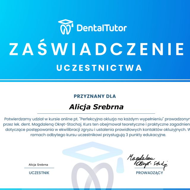 Powiększ obraz: certificate 11