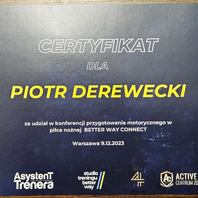 Powiększ obraz: certificate 11