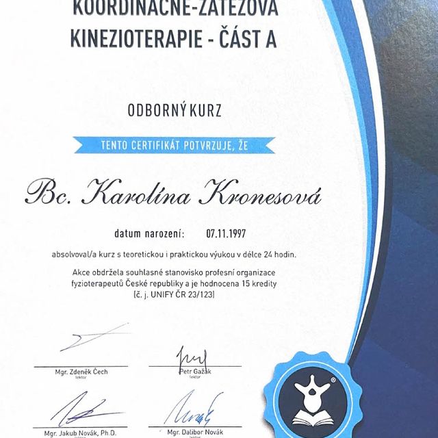 Zvětšit obrázek: certificate 8
