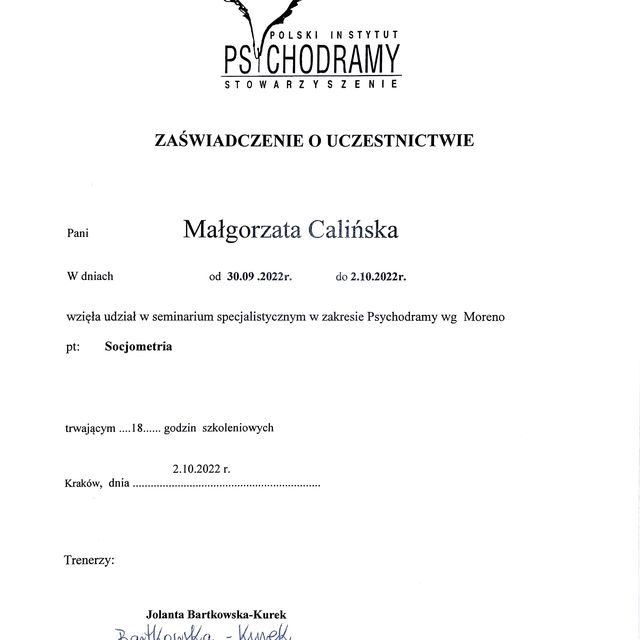 Powiększ obraz: certificate 4