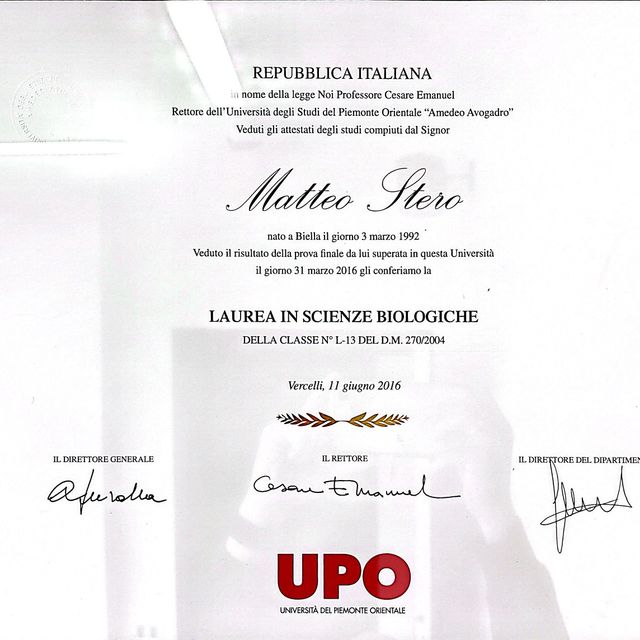 Ingrandire l'immagine: certificate 2