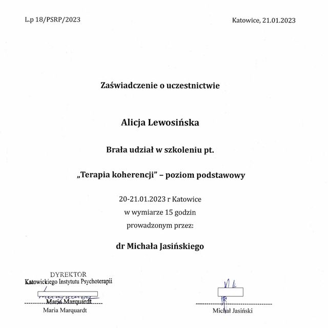 Powiększ obraz: certificate 4