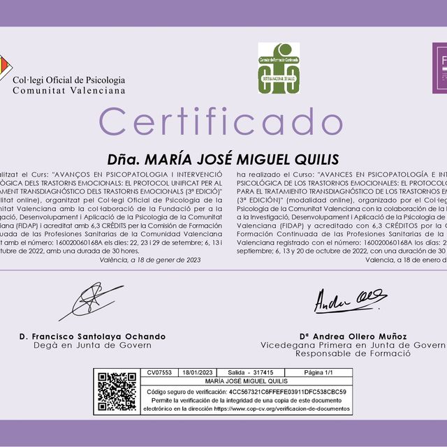 Acercar imagen: certificate 3