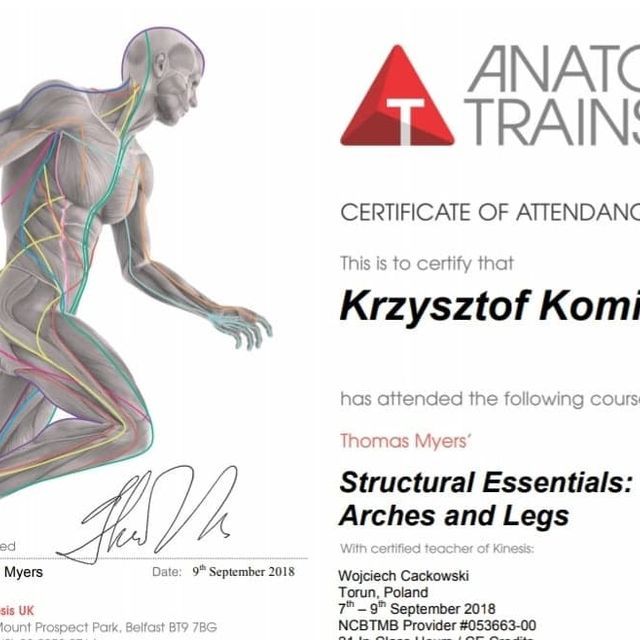 Powiększ obraz: certificate 8