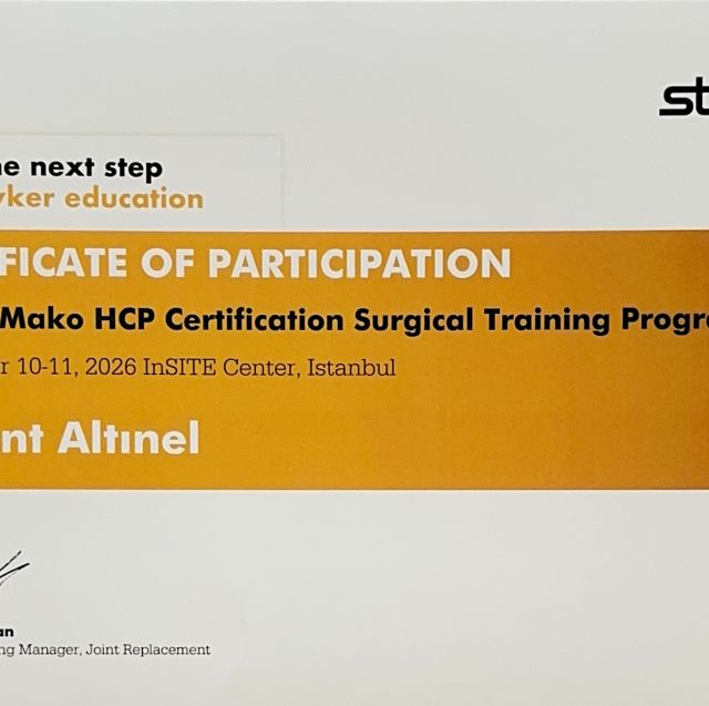 Resmi büyüt: certificate 1