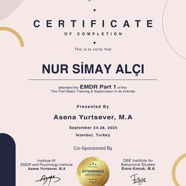 Resmi büyüt: certificate 3
