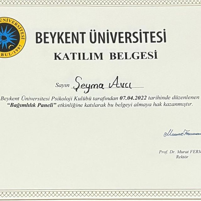 Resmi büyüt: certificate 15
