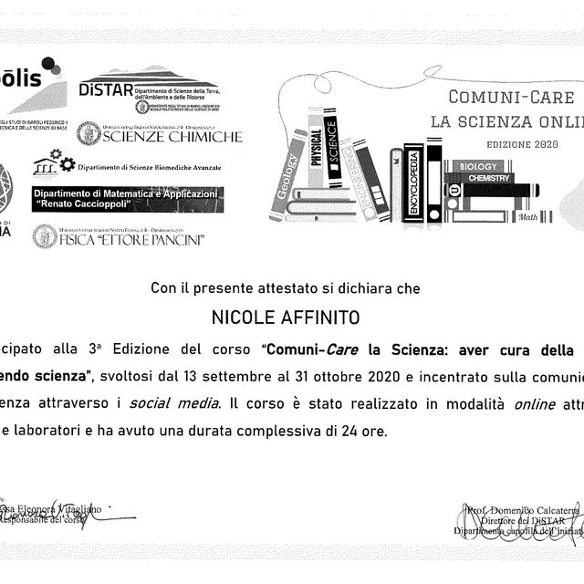 Ingrandire l'immagine: certificate 11