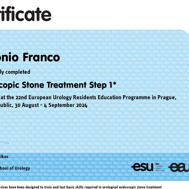 Ingrandire l'immagine: certificate 1