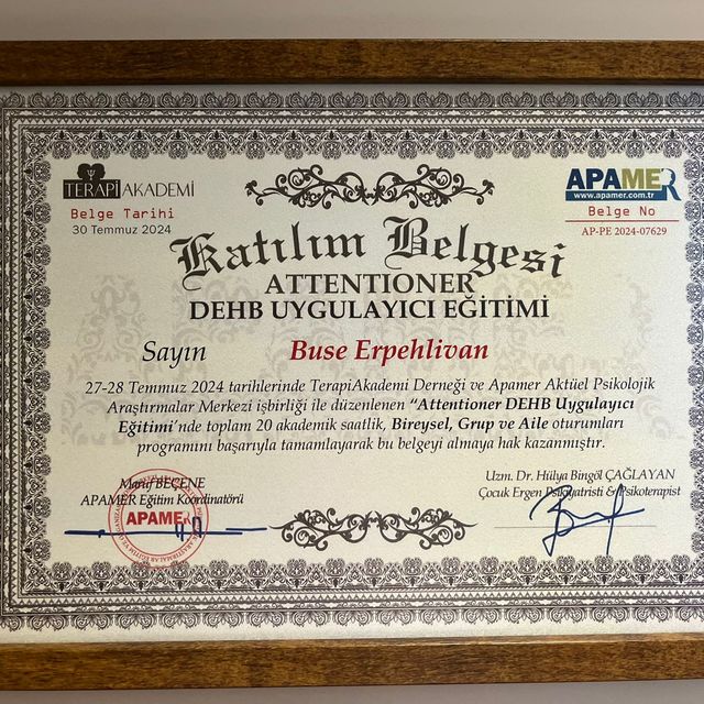 Resmi büyüt: certificate 2