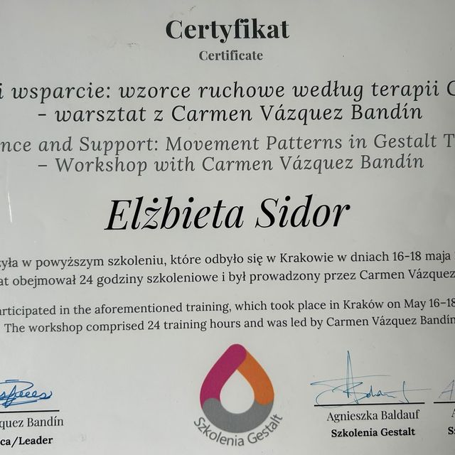 Powiększ obraz: certificate 1