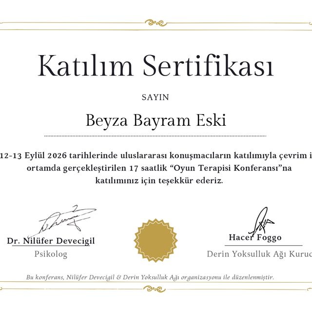 Resmi büyüt: certificate 13