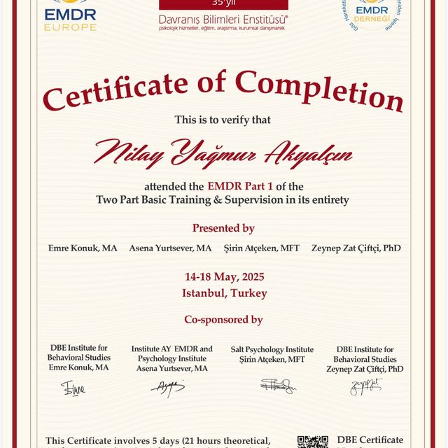 Resmi büyüt: certificate 2