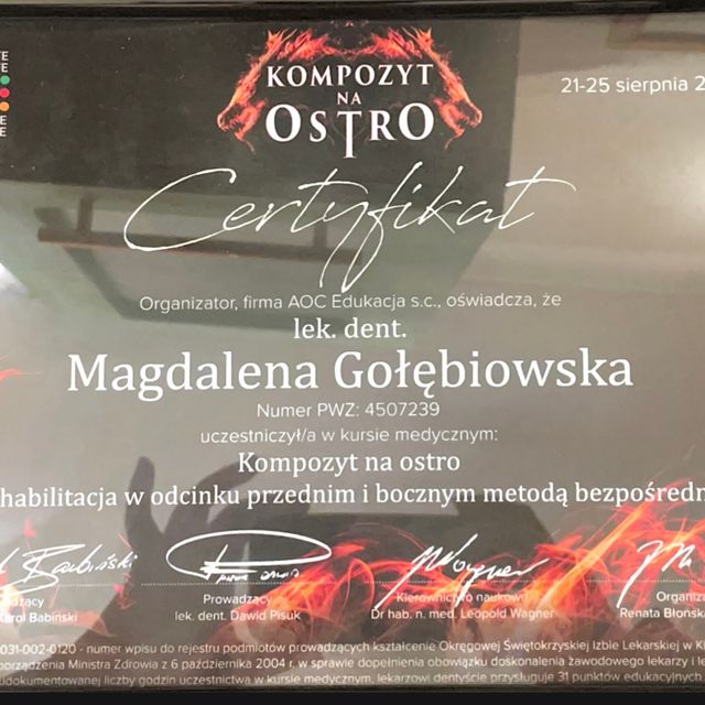 Powiększ obraz: certificate 2