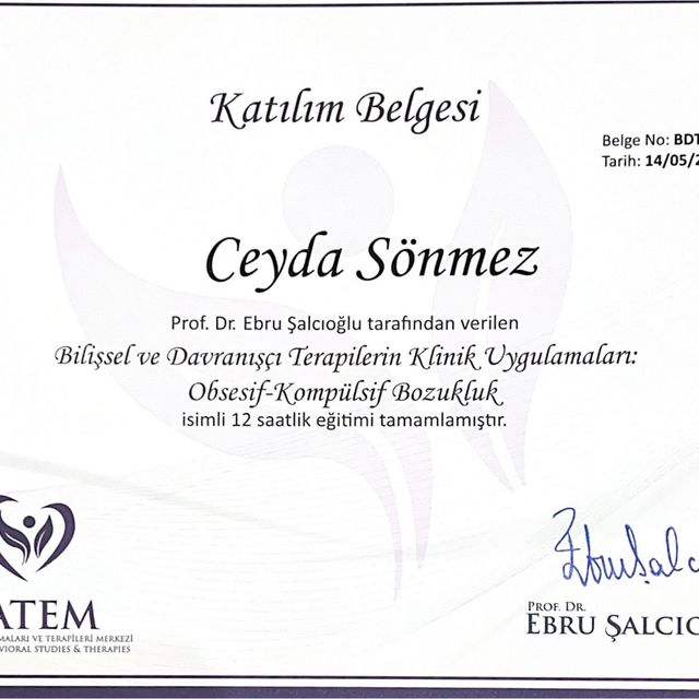 Resmi büyüt: certificate 8