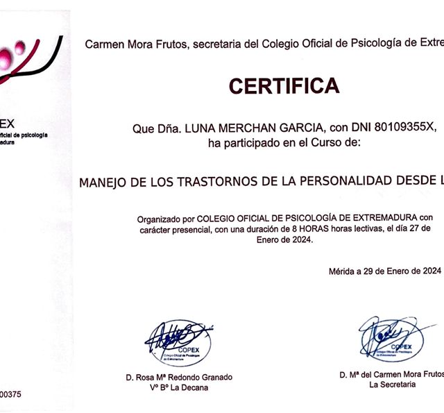 Acercar imagen: certificate 3