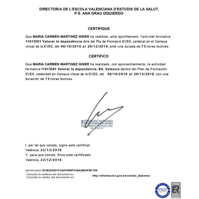 Acercar imagen: certificate 24