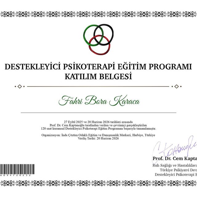 Resmi büyüt: certificate 2