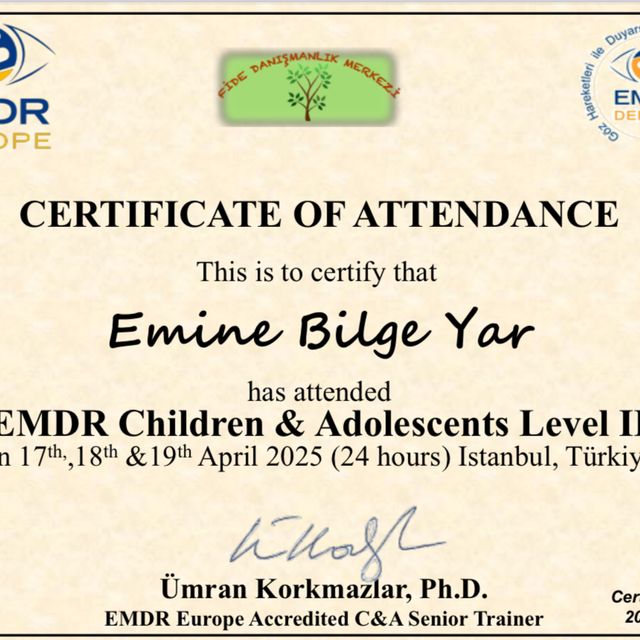 Resmi büyüt: certificate 3