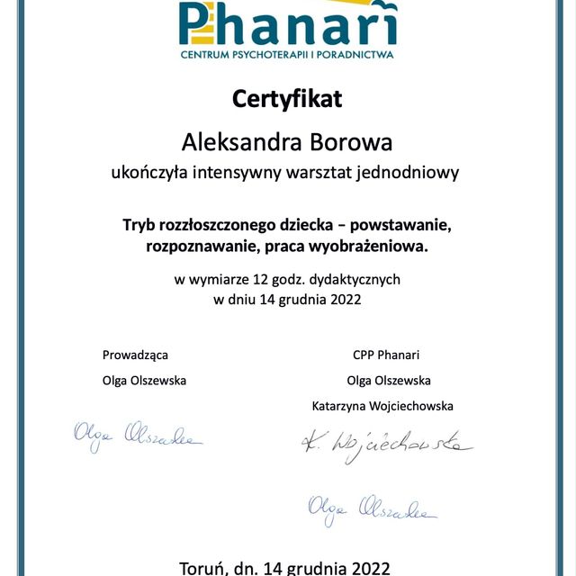 Powiększ obraz: certificate 6