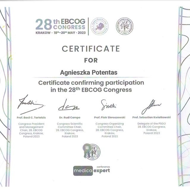 Powiększ obraz: certificate 8