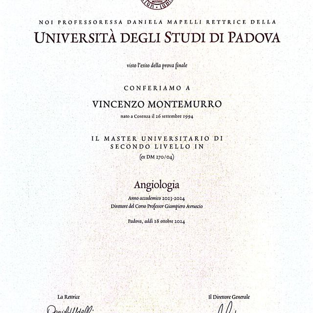 Ingrandire l'immagine: certificate 1