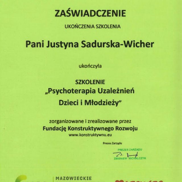 Powiększ obraz: certificate 4