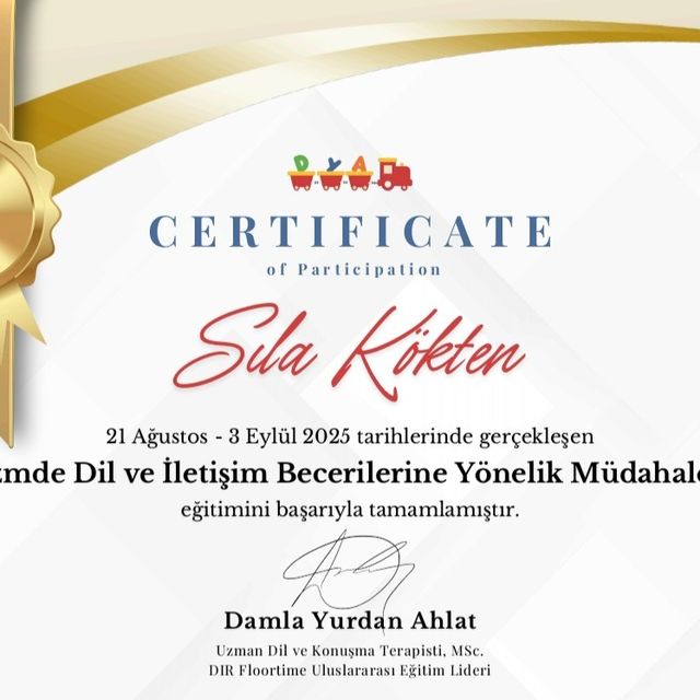 Resmi büyüt: certificate 4