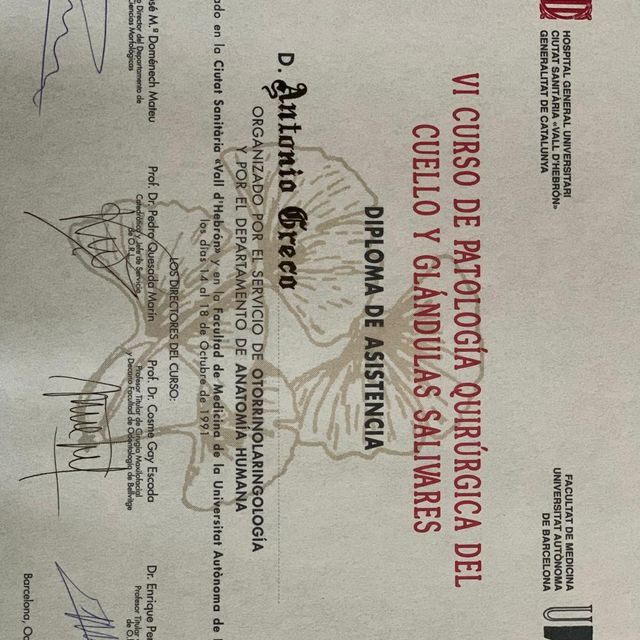 Ingrandire l'immagine: certificate 17