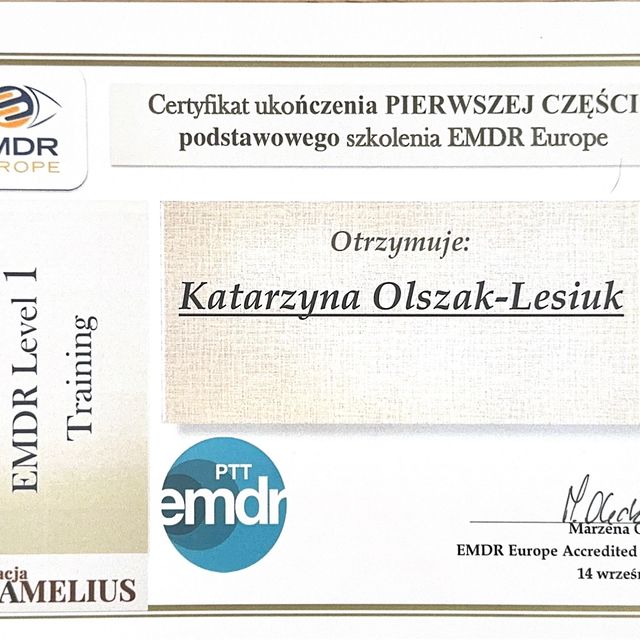Powiększ obraz: certificate 1